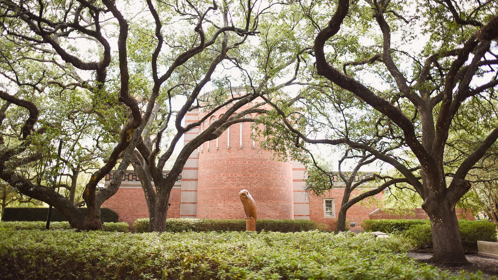 Top Ranked MBA Programs Rice University